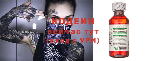 прущий лед Алзамай