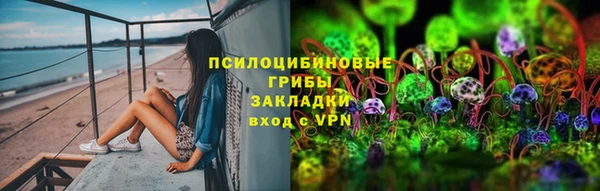 прущий лед Алзамай