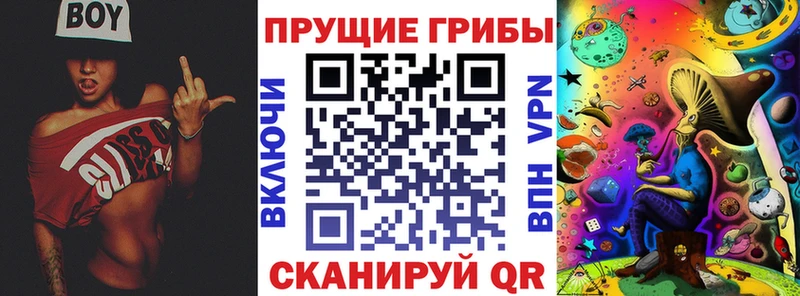 Купить где  Бокситогорск  Псилоцибиновые грибы мухоморы 